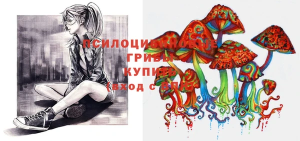 герыч Алексин