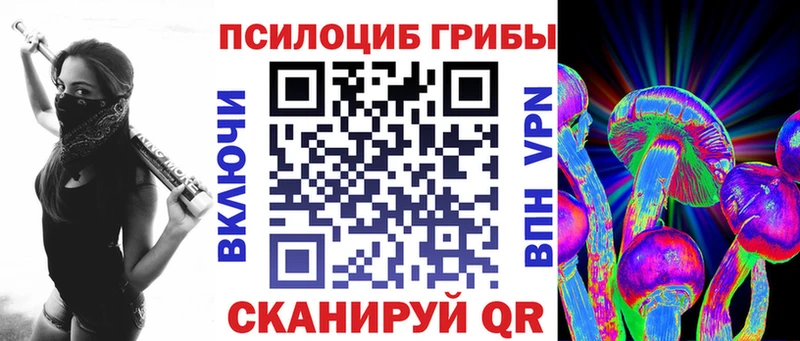 ссылка на мегу рабочий сайт  Евпатория  Псилоцибиновые грибы прущие грибы 